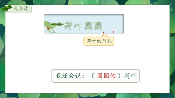 【核心素养】部编版语文一年级下册-12. 荷叶圆圆 第1课时（课件）