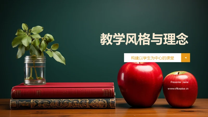 教学风格与理念