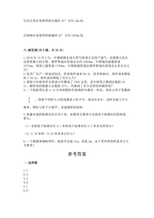 北师大版六年级下册数学期末测试卷【典优】.docx
