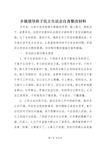 乡镇领导班子民主生活会自查整改材料.docx