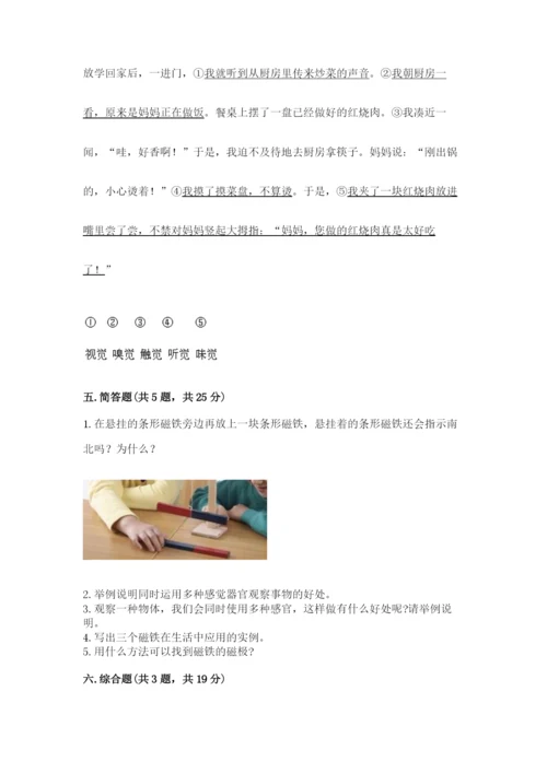 教科版小学科学二年级下册 期末测试卷（夺冠）.docx