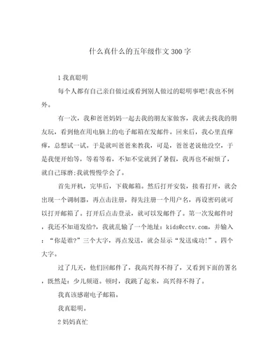 什么真什么的五年级作文300字