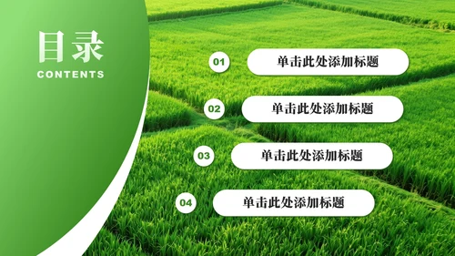 绿色实景大学生三下乡社会实践纪实PPT模板