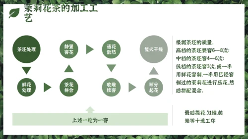 茉莉花茶满墙绿色植物通用PPT模板