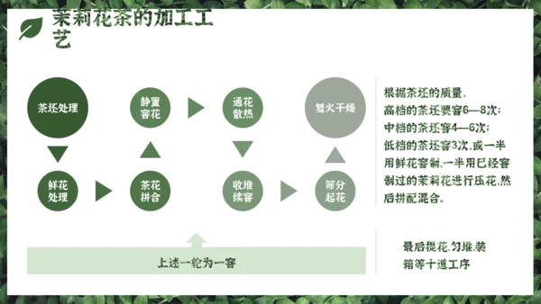 茉莉花茶满墙绿色植物通用PPT模板