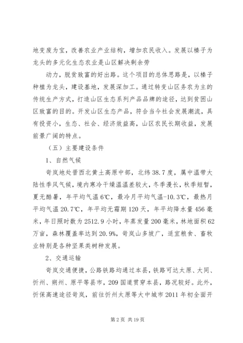 大榛子栽植可行性报告.docx