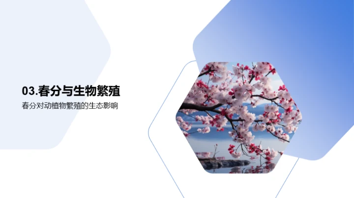 春分现象与生态