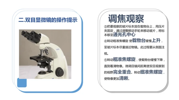 人教版（2024）七年级上册1.2.1 学习使用显微镜 课件(共29张PPT)