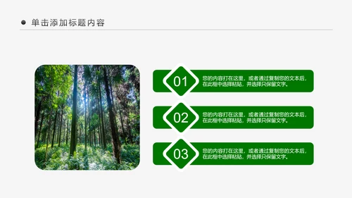 绿色森林湿地环境保护生态森林森业PPT模板