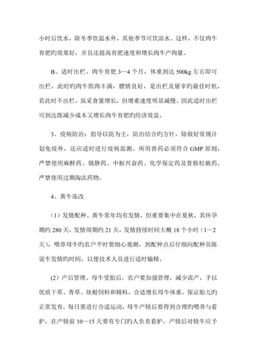 无公害肉牛养殖饲养管理技术规程.docx