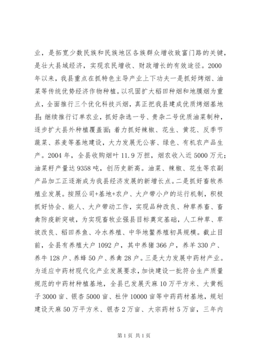 县民族工作调研报告.docx