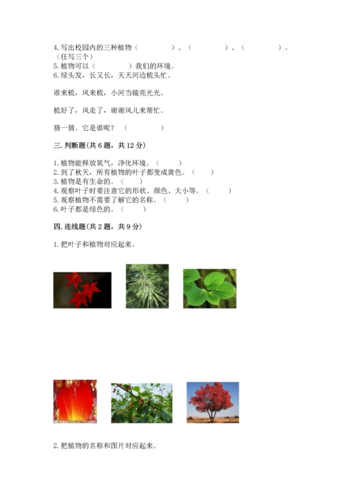 教科版科学一年级上册第一单元《植物》测试卷（完整版）word版.docx