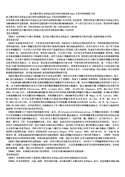 抗人髓系相关分化标志蛋白的单克隆抗体fma1及其应用的制作方法