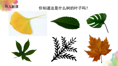 第十一课《拓印树叶真有趣》课件