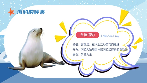 世界海豹日小海豹通用PPT模板