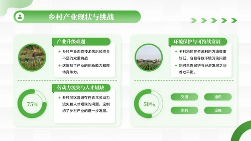 绿色商务风乡村产业振兴的创新实践PPT模板