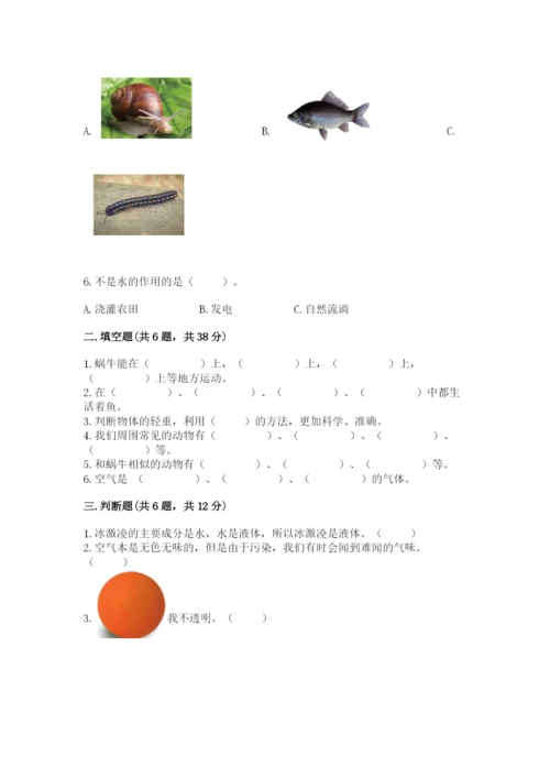 教科版一年级下册科学期末测试卷（全优）.docx