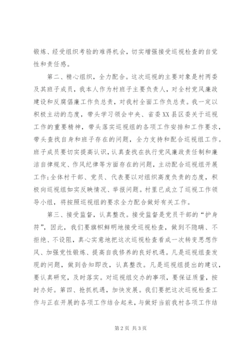 村支部书记在巡视工作动员会上的表态发言.docx