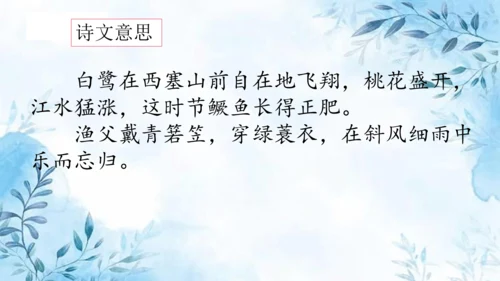 部编版五年级上册第七单元复习  课件