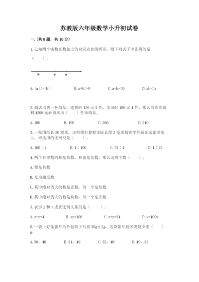 苏教版六年级数学小升初试卷（考试直接用）.docx