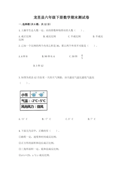 龙里县六年级下册数学期末测试卷（夺分金卷）.docx