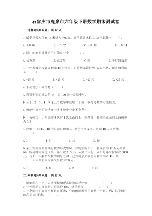 石家庄市鹿泉市六年级下册数学期末测试卷及完整答案一套.docx