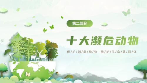 保护濒危动物，拯救美好生命通用PPT模板