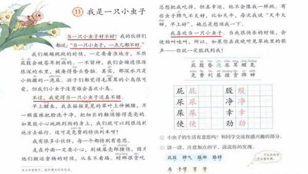 《11.我是一只小虫子》第一课时 课件