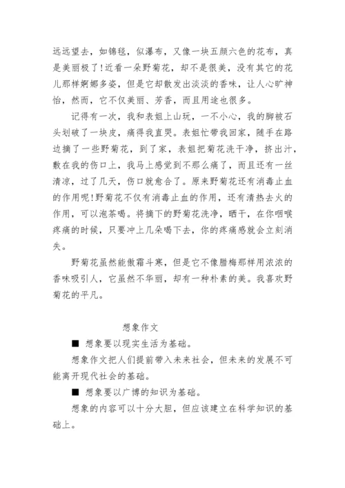 小升初语文作文技巧与满分范文.docx