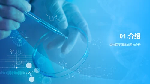 蓝色简约现代生物医学图像PPT模板