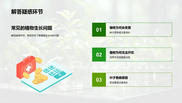 探秘植物生长