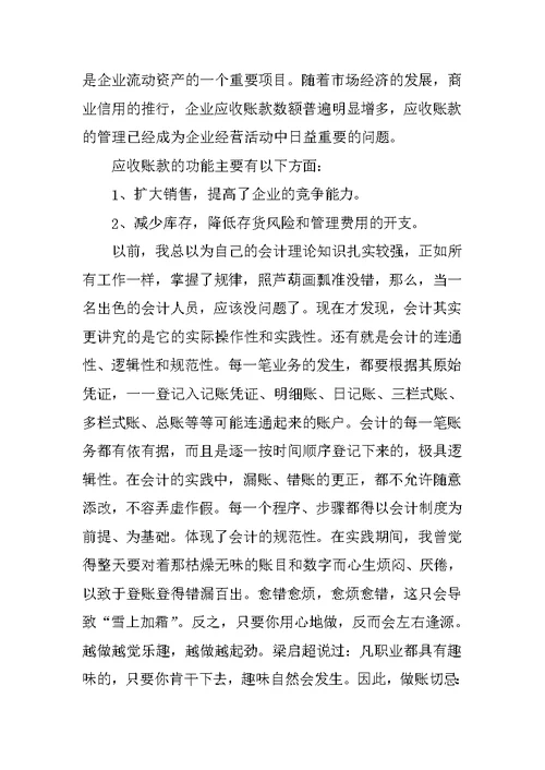 XX年会计专业实习生社会实践报告范文