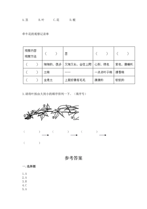 教科版科学一年级上册第一单元《植物》测试卷附完整答案【考点梳理】.docx