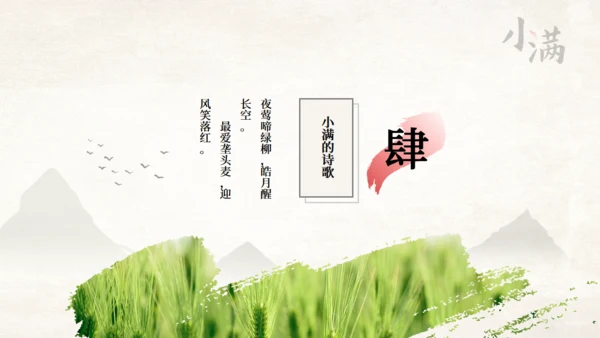 传统节气小满一抹绿色通用PPT模板