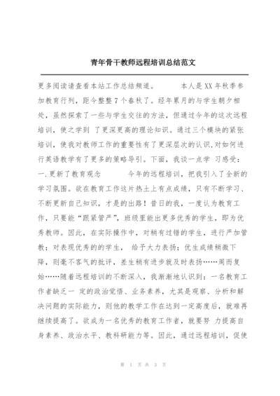 青年骨干教师远程培训总结范文.docx