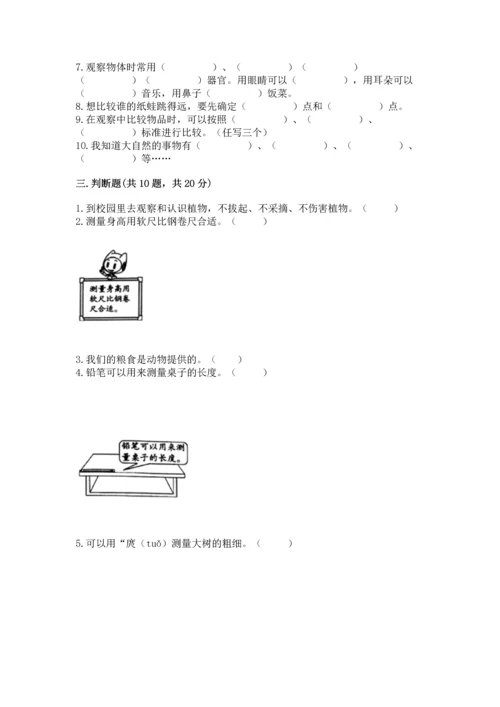 教科版一年级上册科学期末测试卷精品【典优】.docx