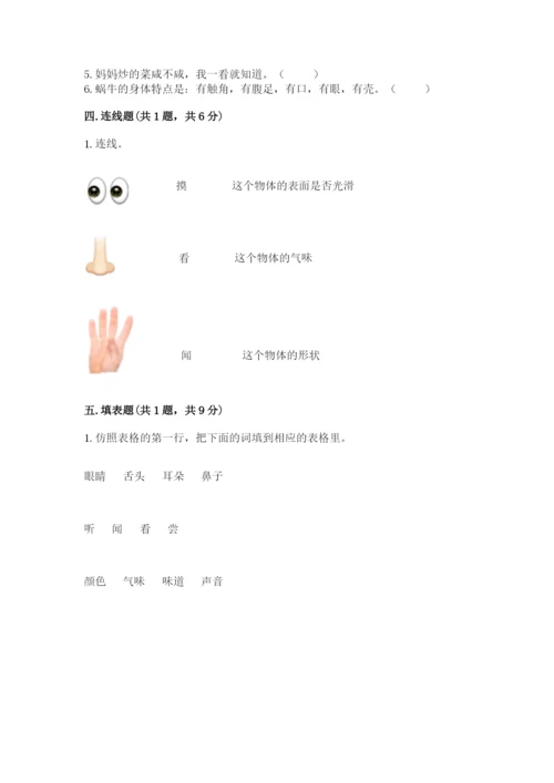 教科版小学科学一年级下册期末测试卷【能力提升】.docx