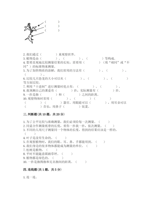 教科版一年级上册科学期末测试卷【重点】.docx