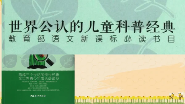 14《蜜蜂》课件