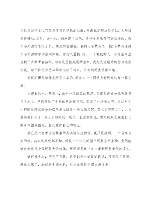 蚂蚁写坚强的蚂蚁的作文1010字