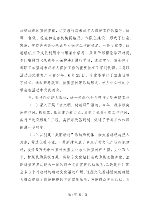 乡镇年度宣传思想精神文明工作总结.docx