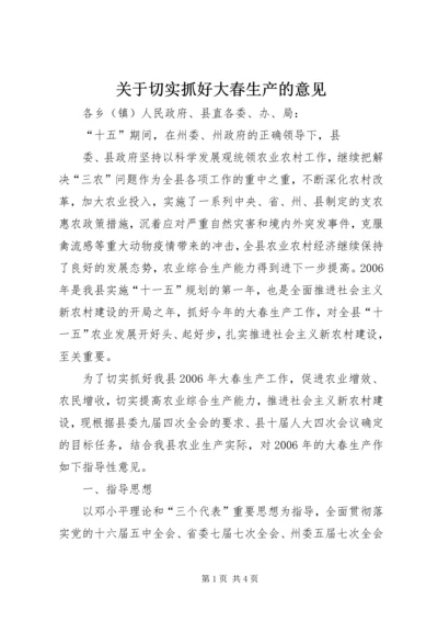 关于切实抓好大春生产的意见 (2).docx