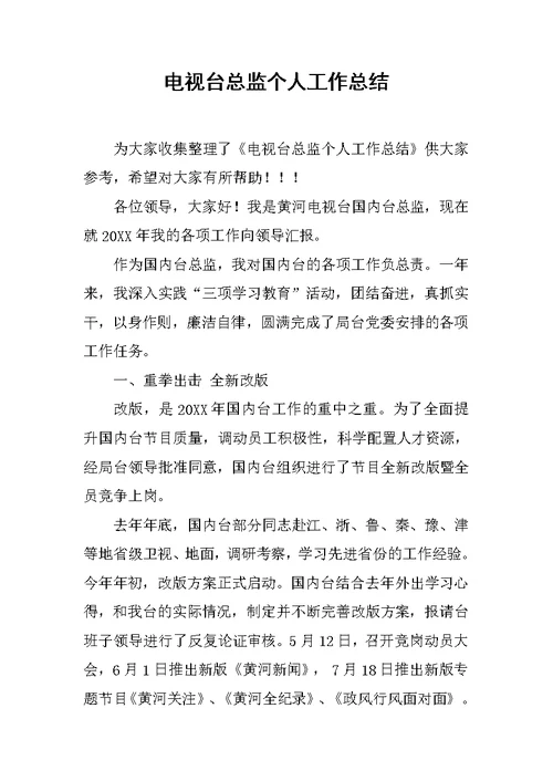 电视台总监个人工作总结
