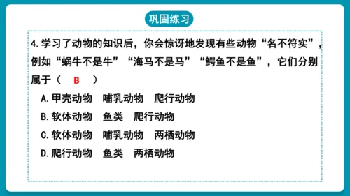 第一章动物的主要类群（复习课件）-八年级生物上册同步教学精制课件（人教版）(共25张PPT)