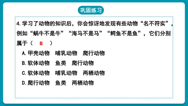 第一章动物的主要类群（复习课件）-八年级生物上册同步教学精制课件（人教版）(共25张PPT)