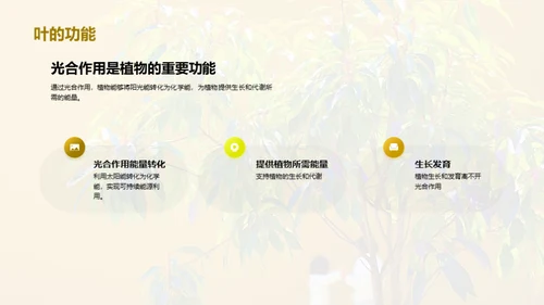 商务风教育培训教学课件PPT模板