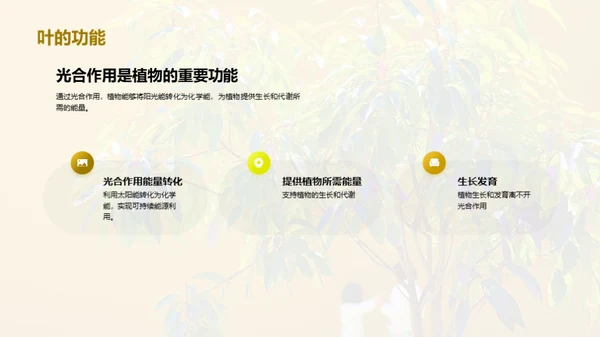 商务风教育培训教学课件PPT模板