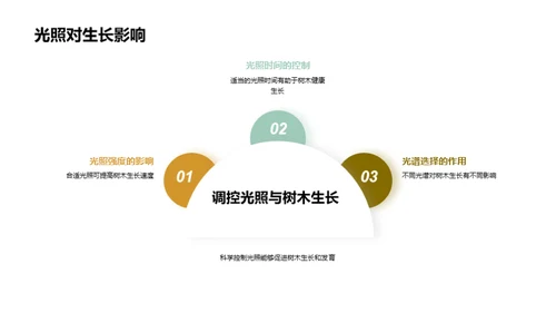 育苗科技研发新未来