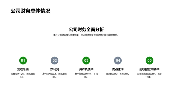 财务运营月报分析