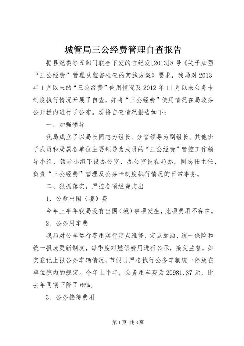 城管局三公经费管理自查报告.docx